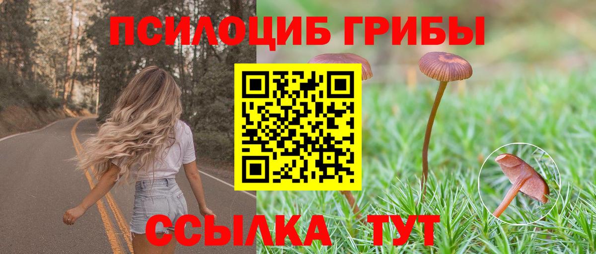 Галлюциногенные грибы мухоморы  Вход с VPN  Киров 